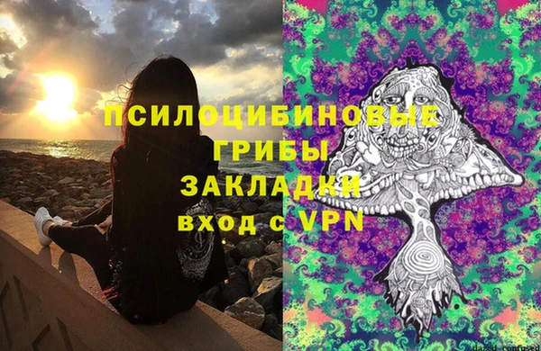 дурь Богданович