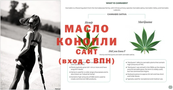 круглые Богородск