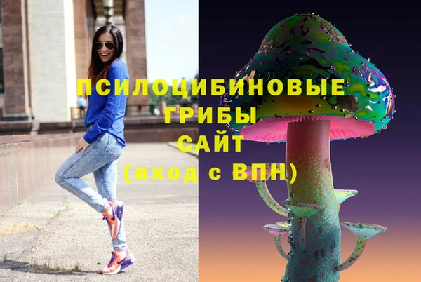 mdma Богородицк
