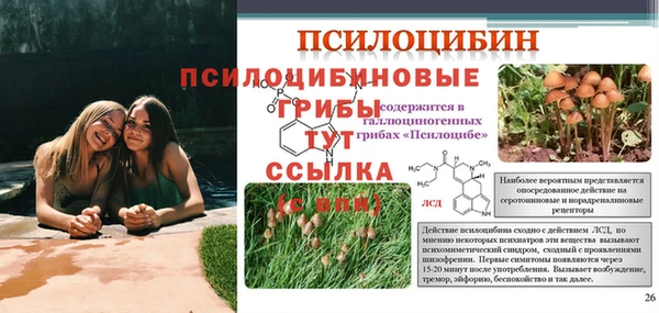 дурь Богданович