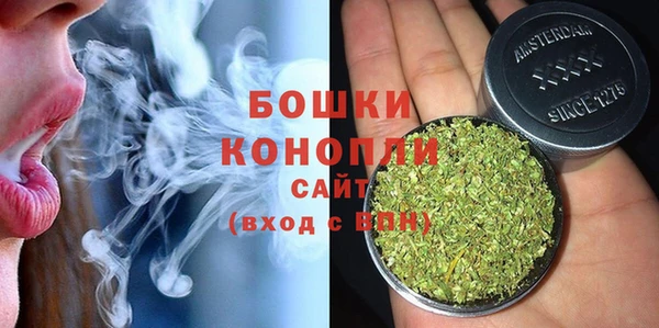 трава Белокуриха