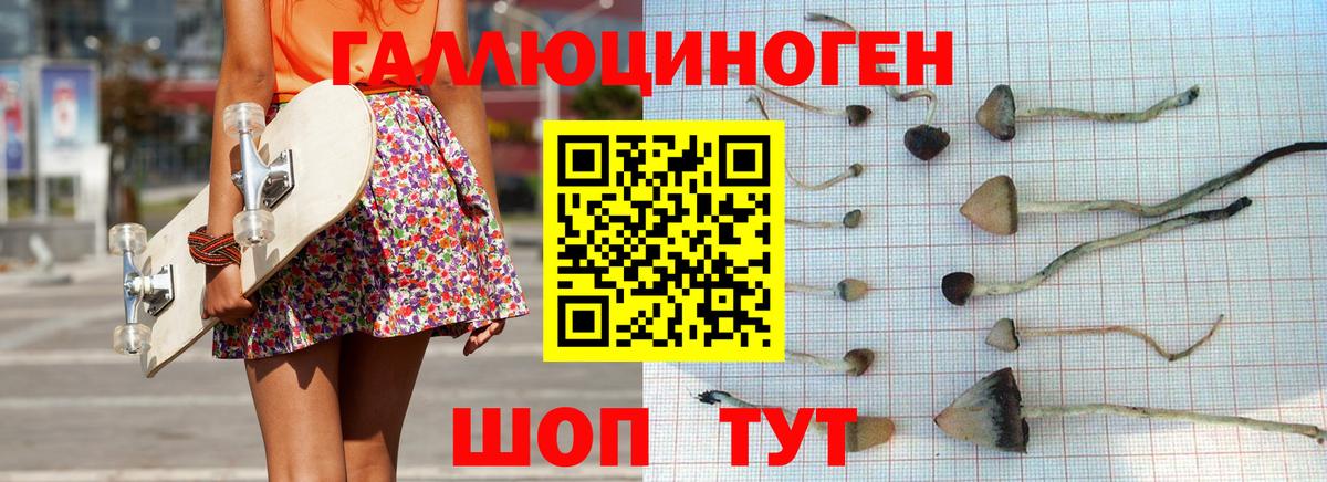 Псилоцибиновые грибы мицелий  Вход с VPN  Наро-Фоминск  Псилоцибиновые грибы GOLDEN TEACHER 